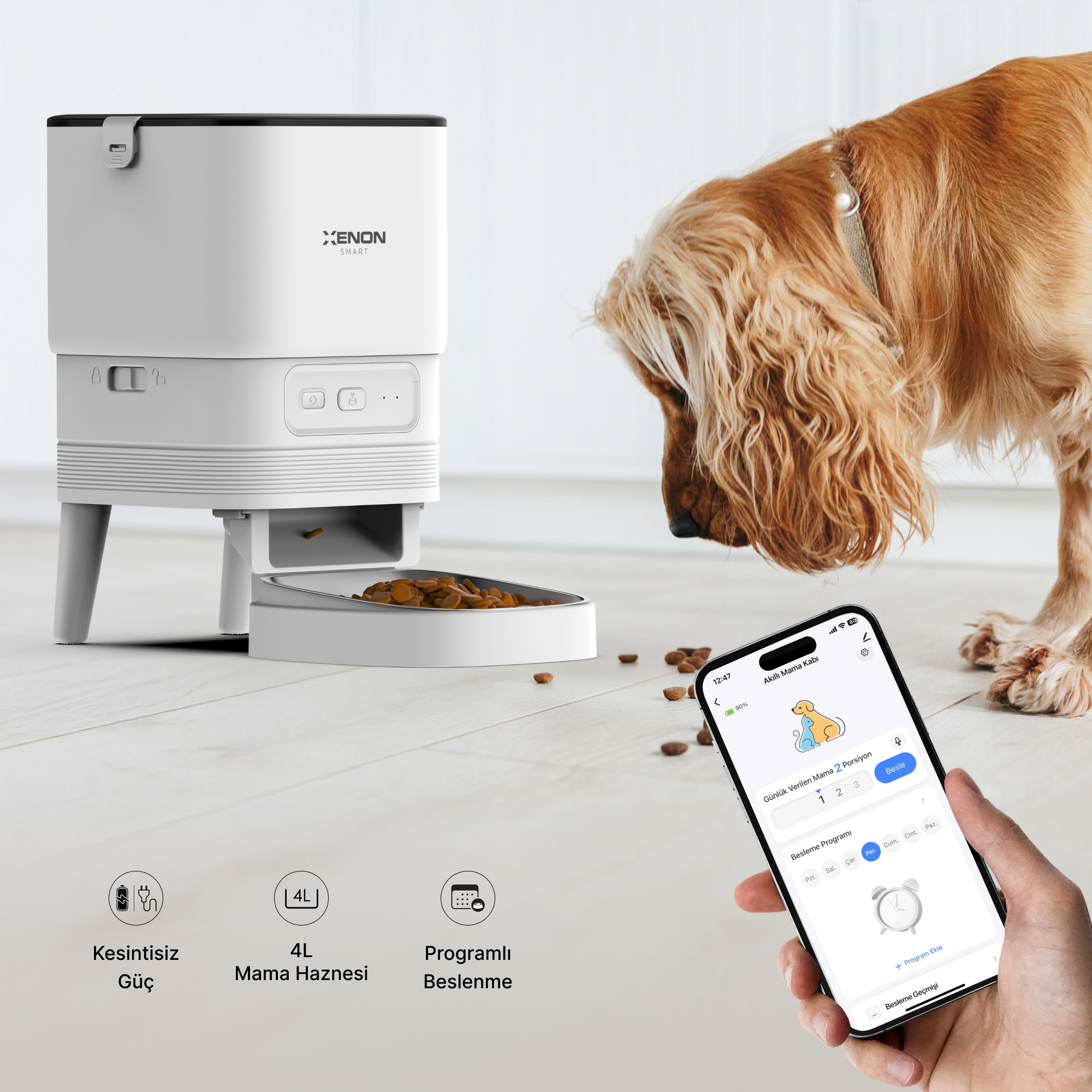 Akıllı Kedi Tuvaleti, Çelik Mama Kabı ve Akıllı Bataryalı Su Pınarı 4'lü Pet Seti