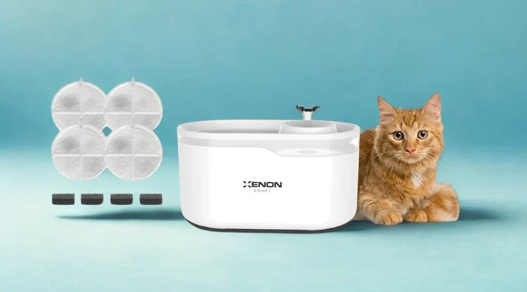 Kedi Su Pınarı Filtresi Nasıl Temizlenir? A'dan Z'ye Temizlik Rehberi
