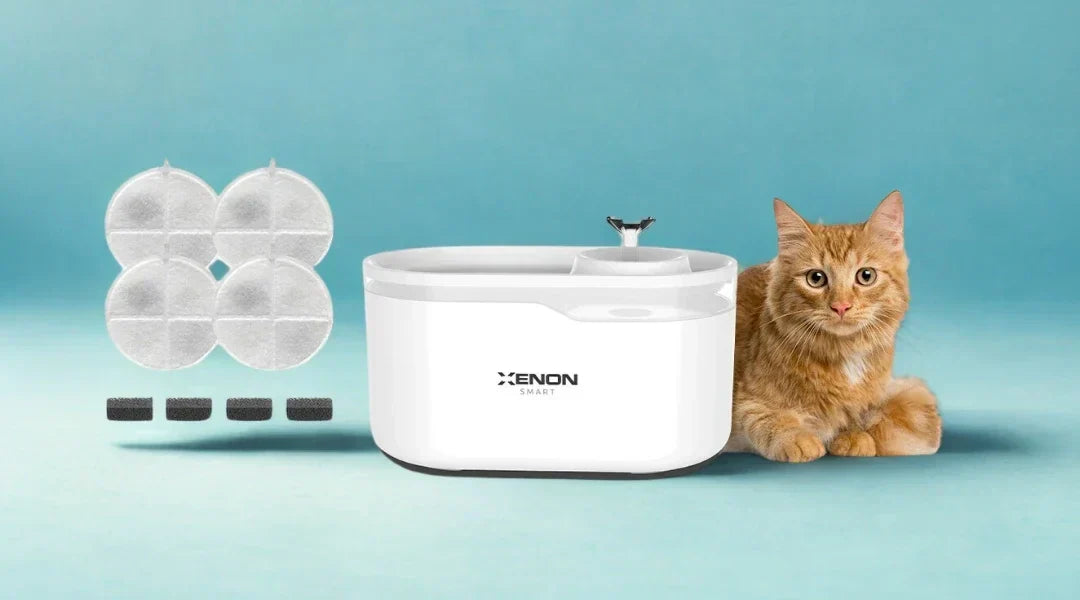 Kedi Su Pınarı Filtresi Nasıl Temizlenir? A'dan Z'ye Temizlik Rehberi