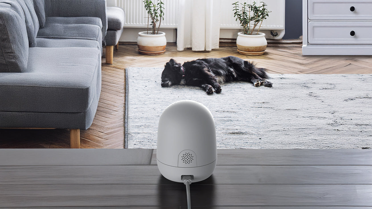 Evcil Dostlarınız İçin Akıllı Kamera Çözümleri