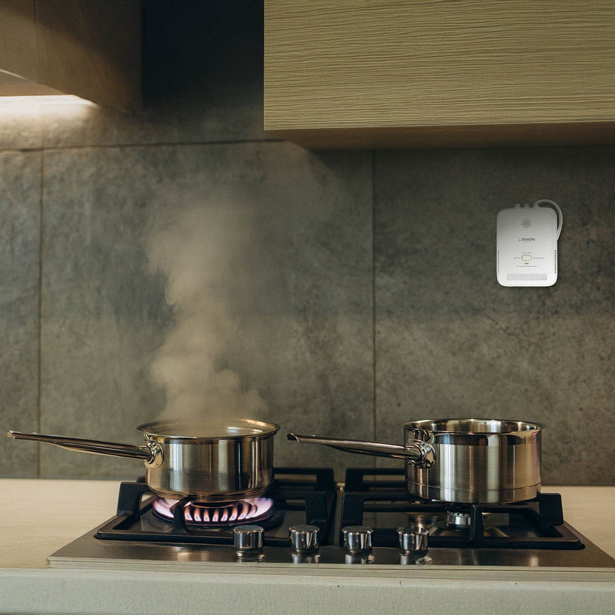 Akıllı Gaz Dedektörü ZigBee