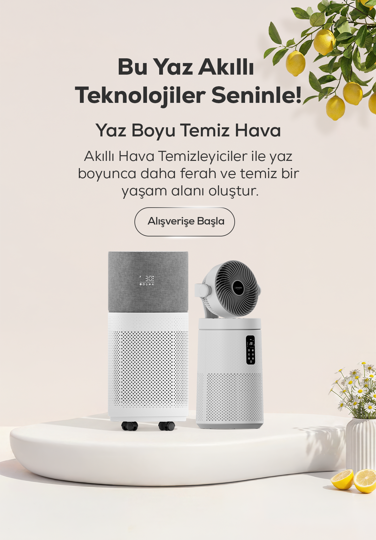 Xenon Smart