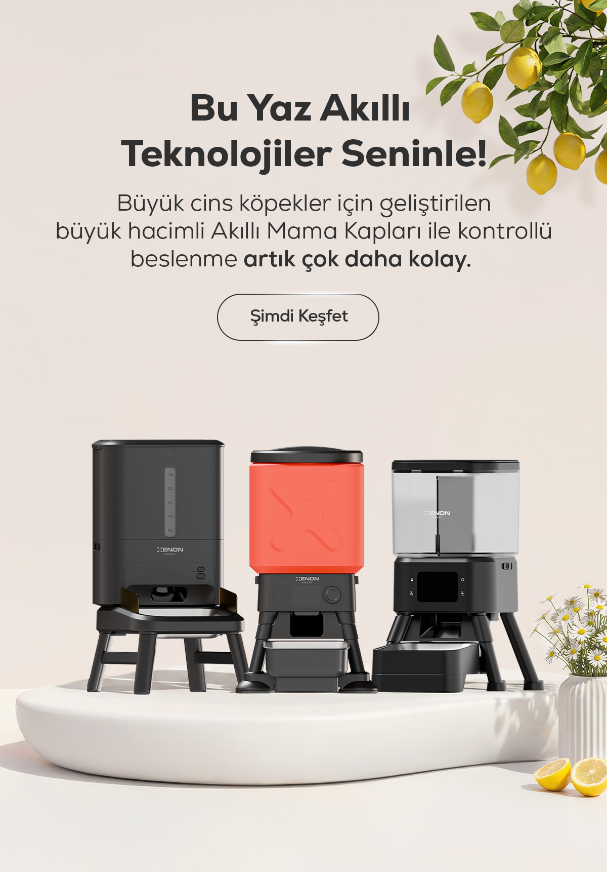 Xenon Smart