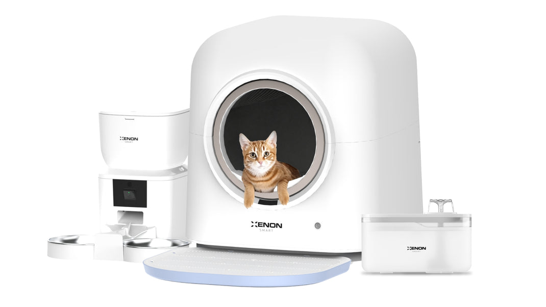Otomatik Kedi Tuvaleti, Akıllı Mama Kabı (Kameralı), Su Pınarı (Şeffaf) ve Filtre Seti | 4'lü Set