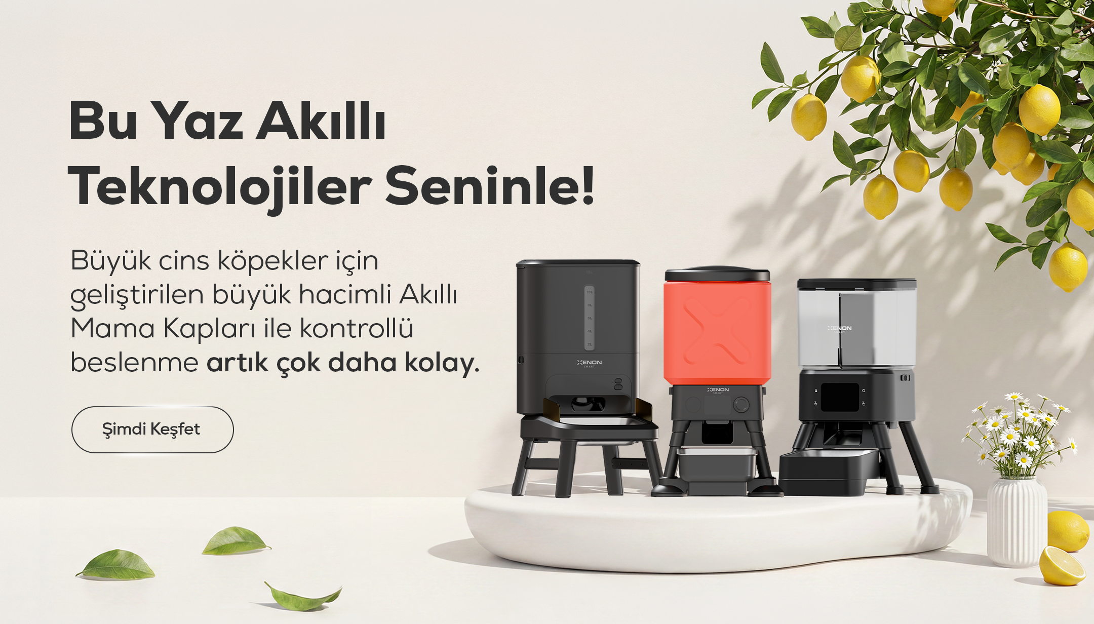 Xenon Smart