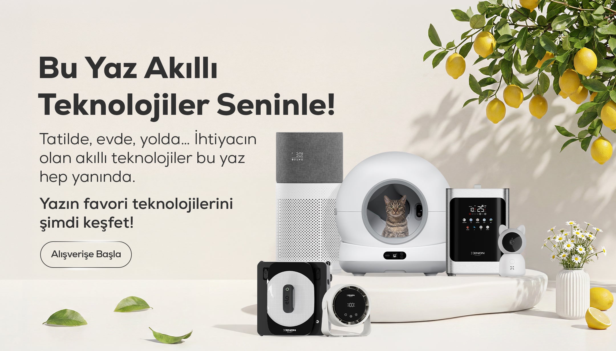 Xenon Smart