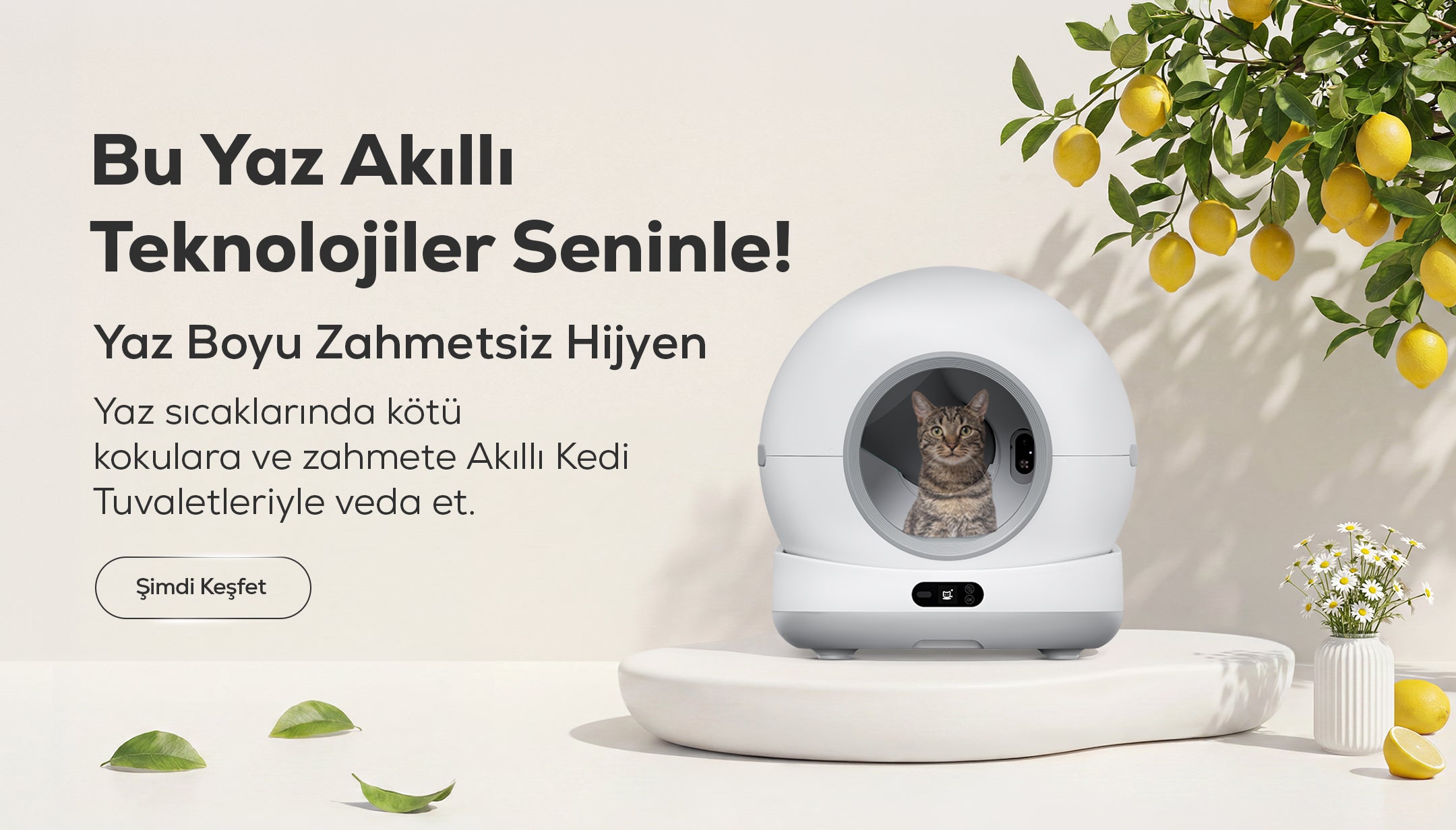 Xenon Smart