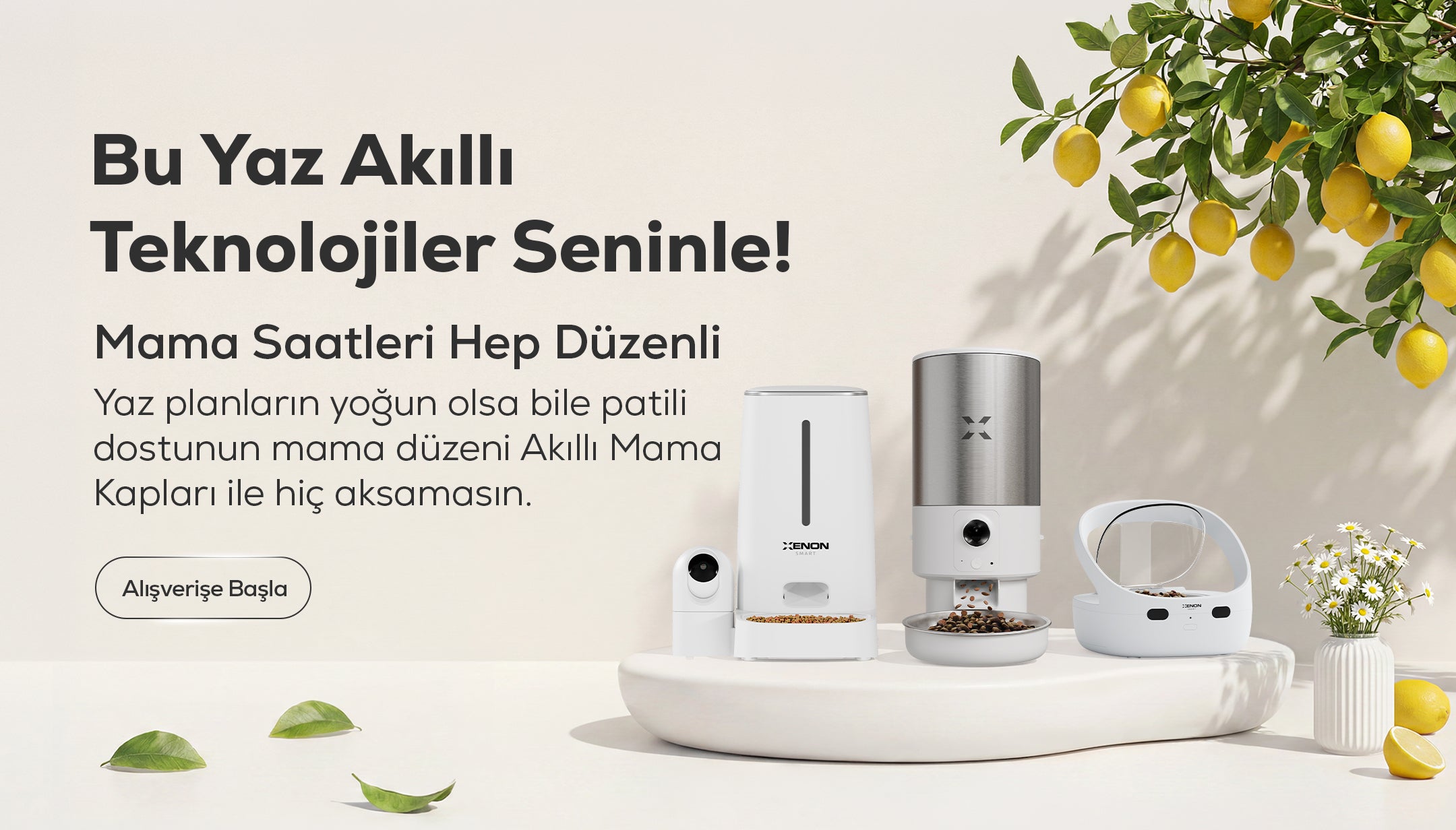 Xenon Smart