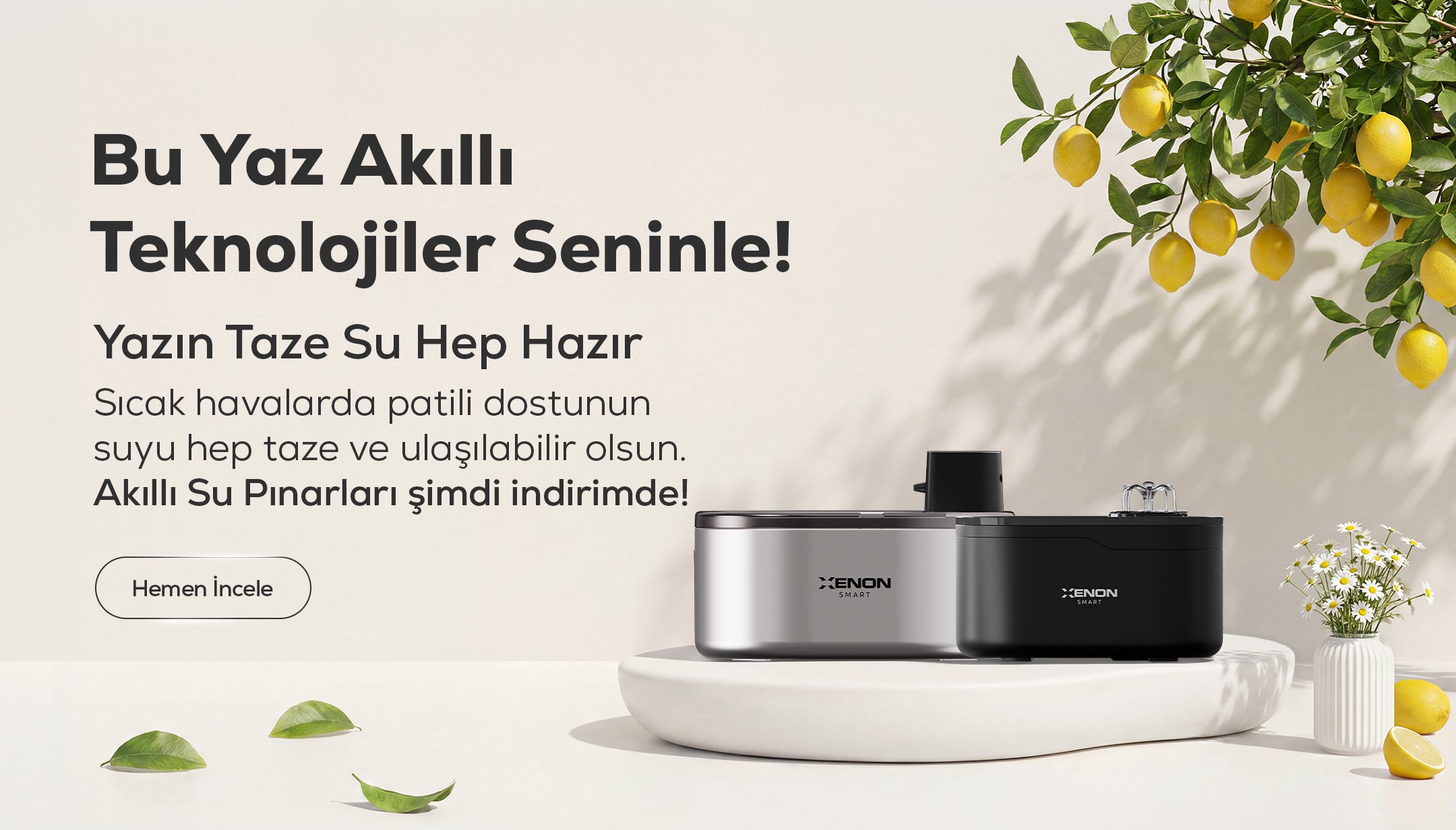 Xenon Smart