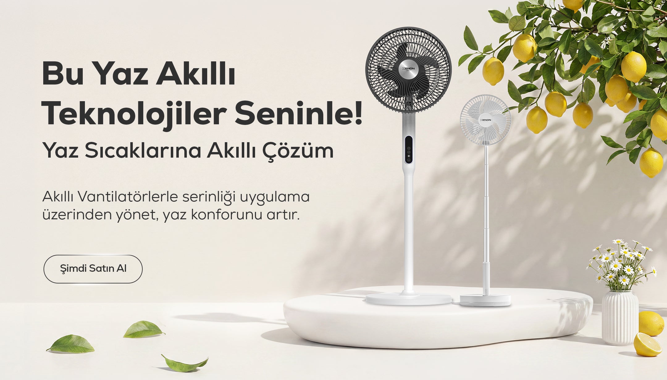 Xenon Smart