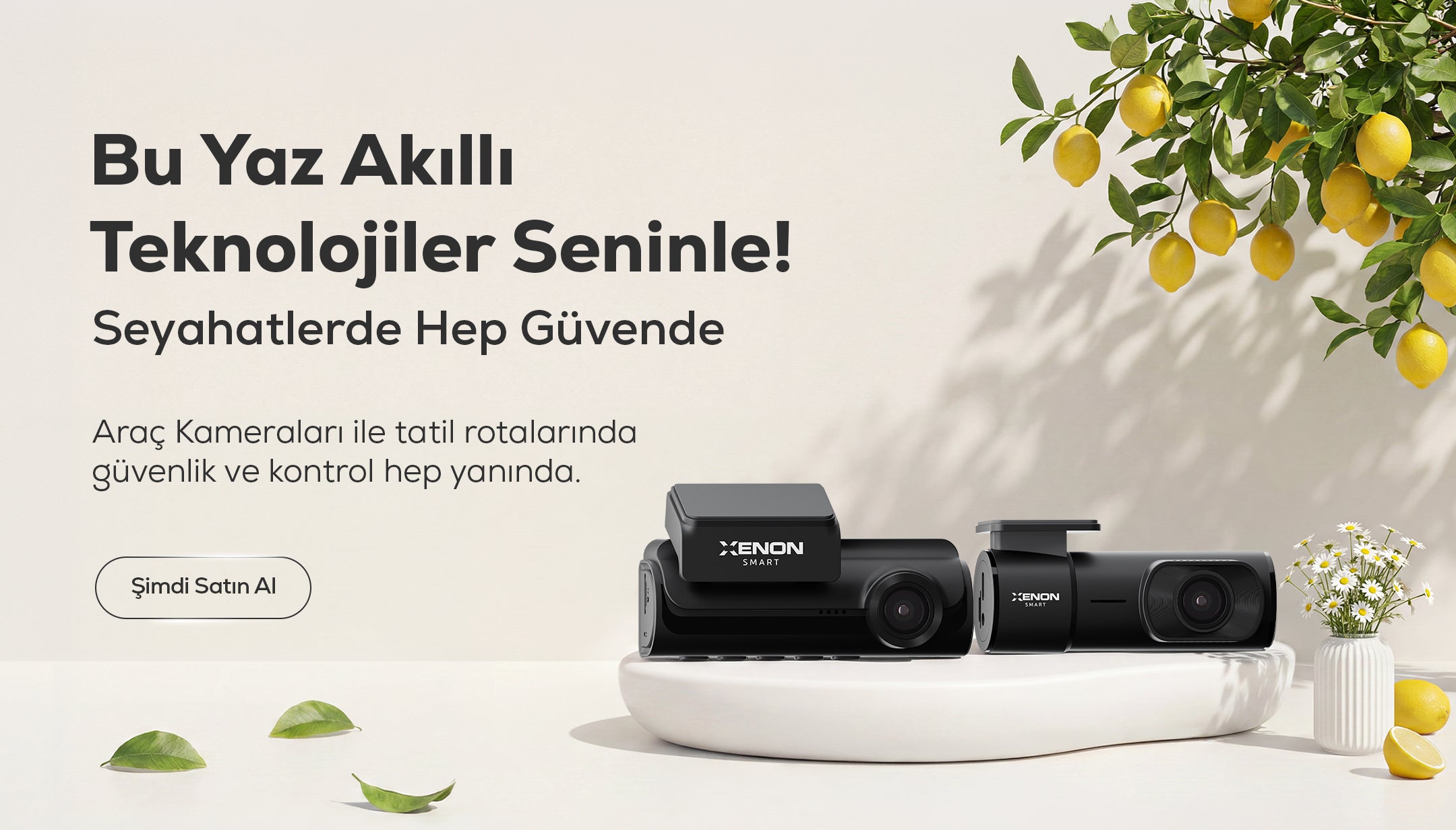 Xenon Smart