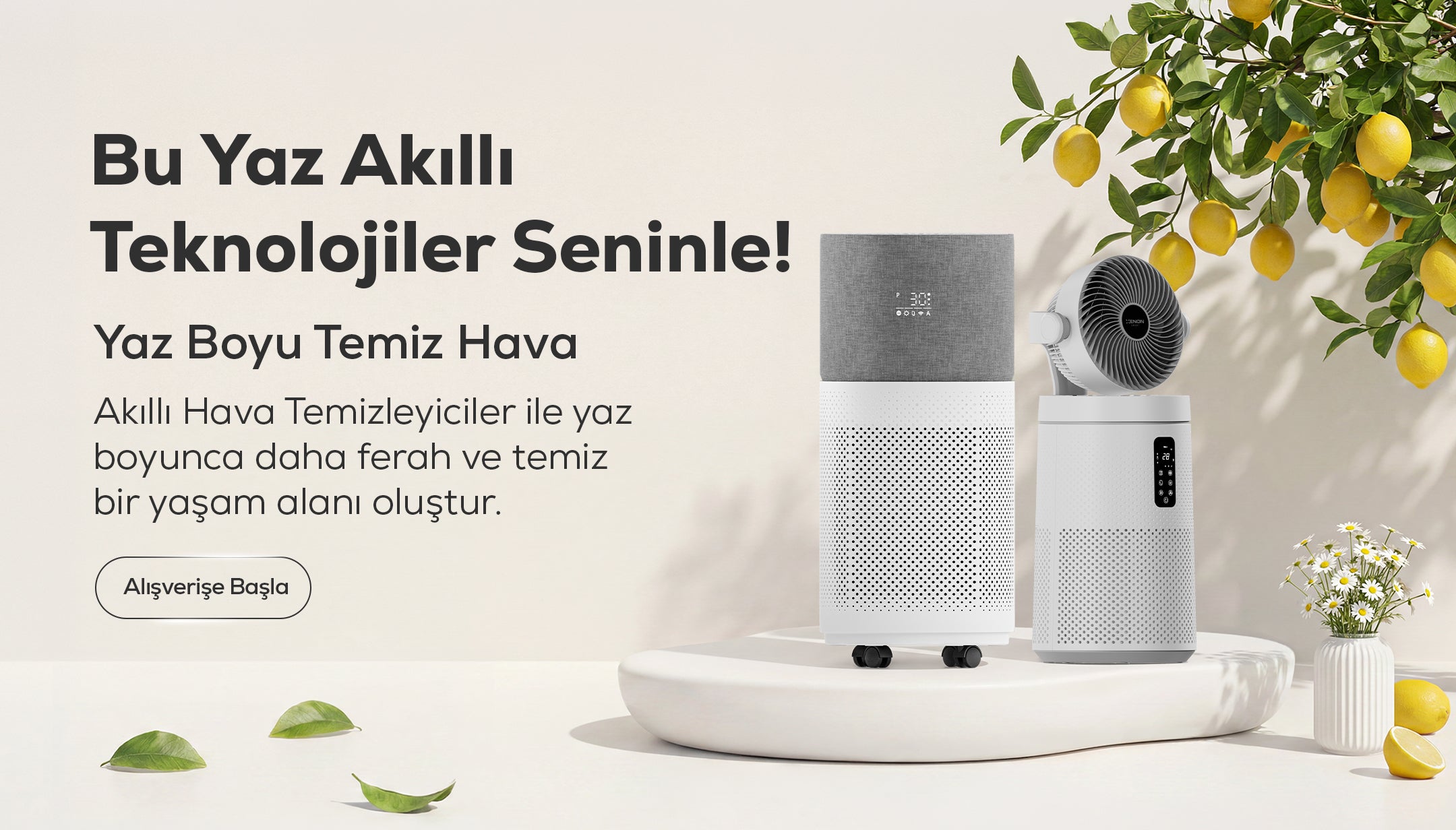 Xenon Smart