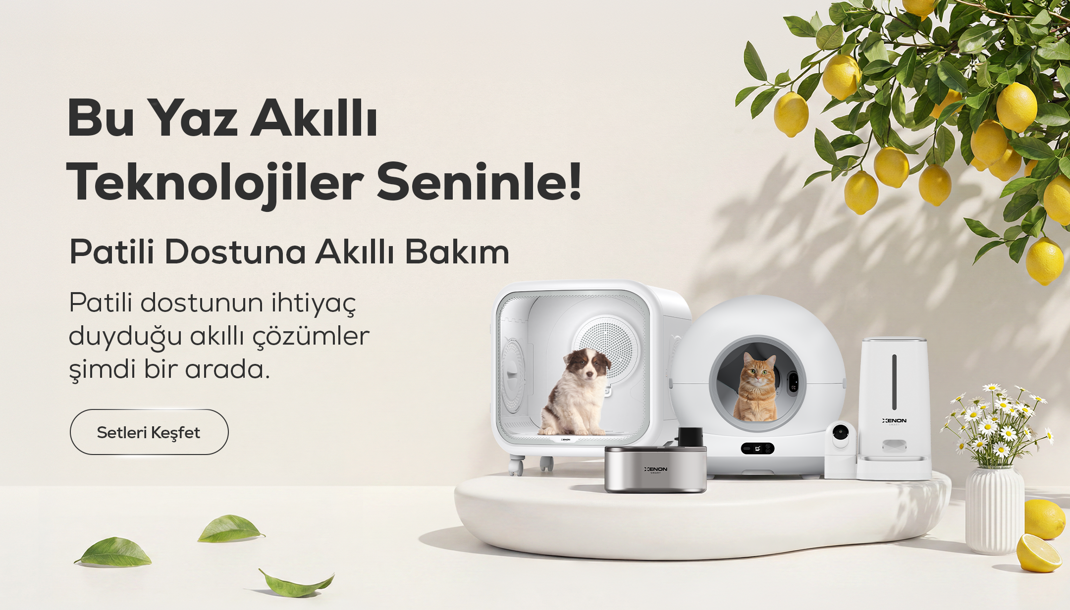 Xenon Smart
