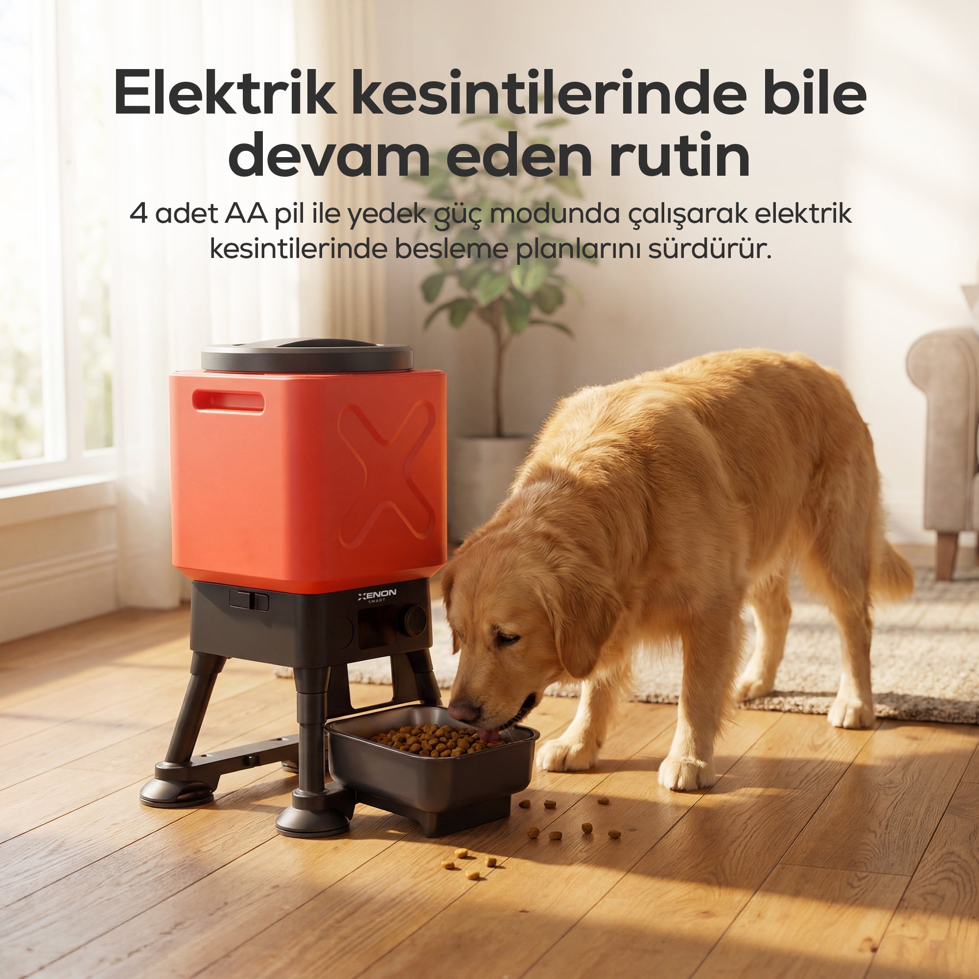 Köpek Mama Kabı | Akıllı, Uygulama Kontrol, 14L, Yükseltilmiş Ortopedik Tasarım, Çelik Kase (X8631)