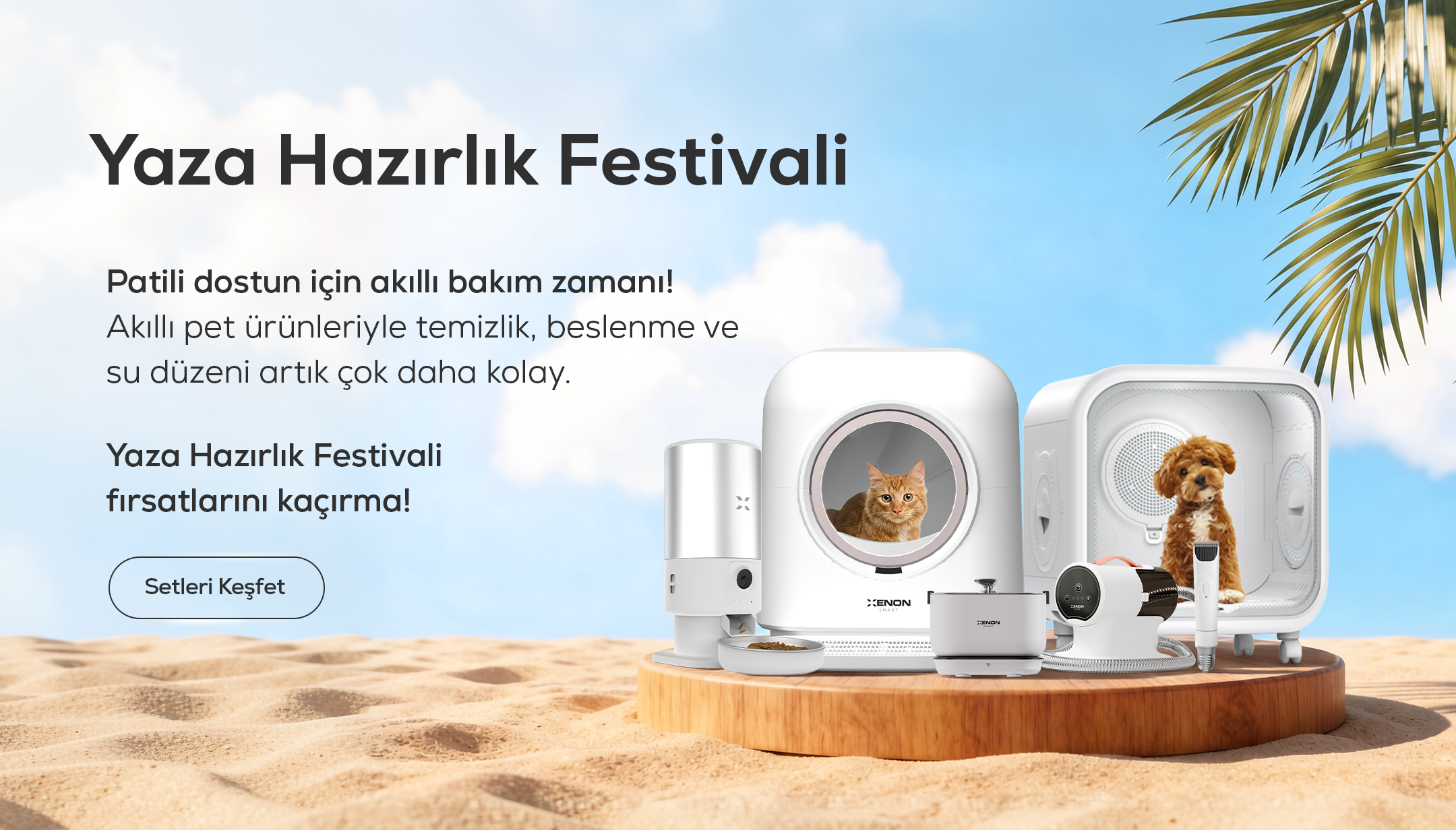 Xenon Smart