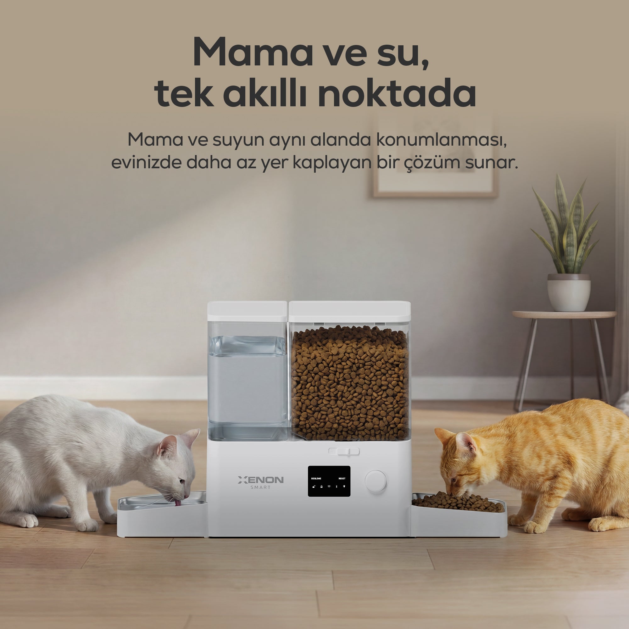 Otomatik Mama ve Su Kabı | Akıllı 2 in 1 Besleyici, WiFi, Çelik