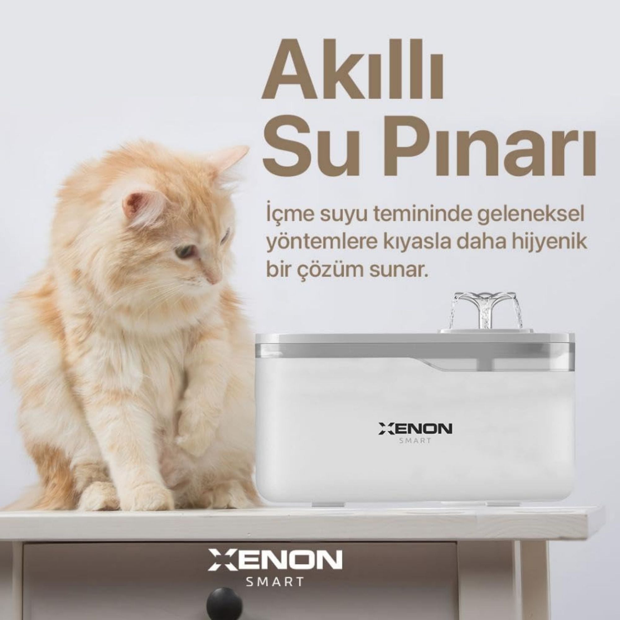 Otomatik Mama Kabı, Kedi Su Pınarı (Şeffaf) ve Yedek Filtre | 3'lü