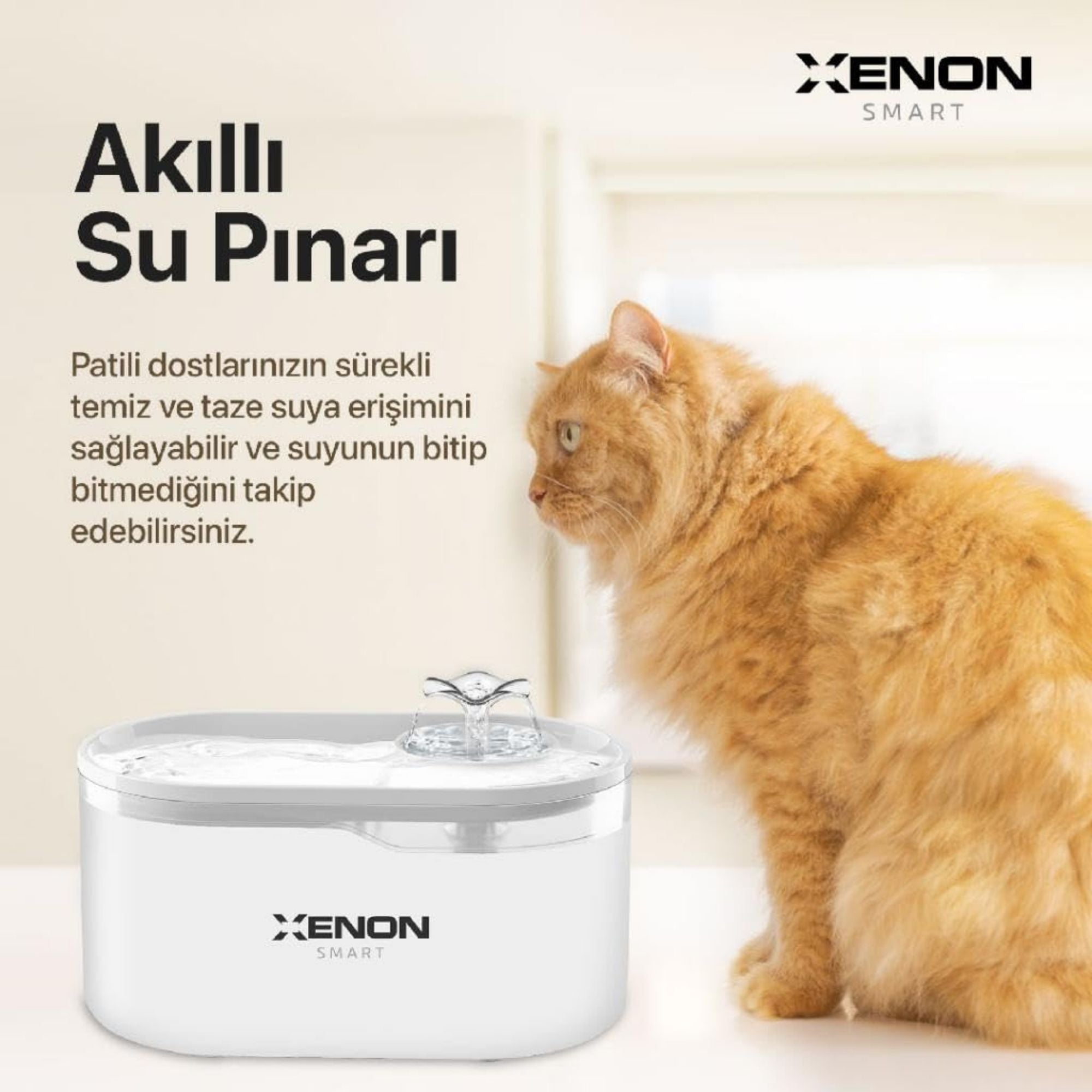 Akıllı Kedi Mama Kabı ve Otomatik Su Pınarı Seti Beyaz