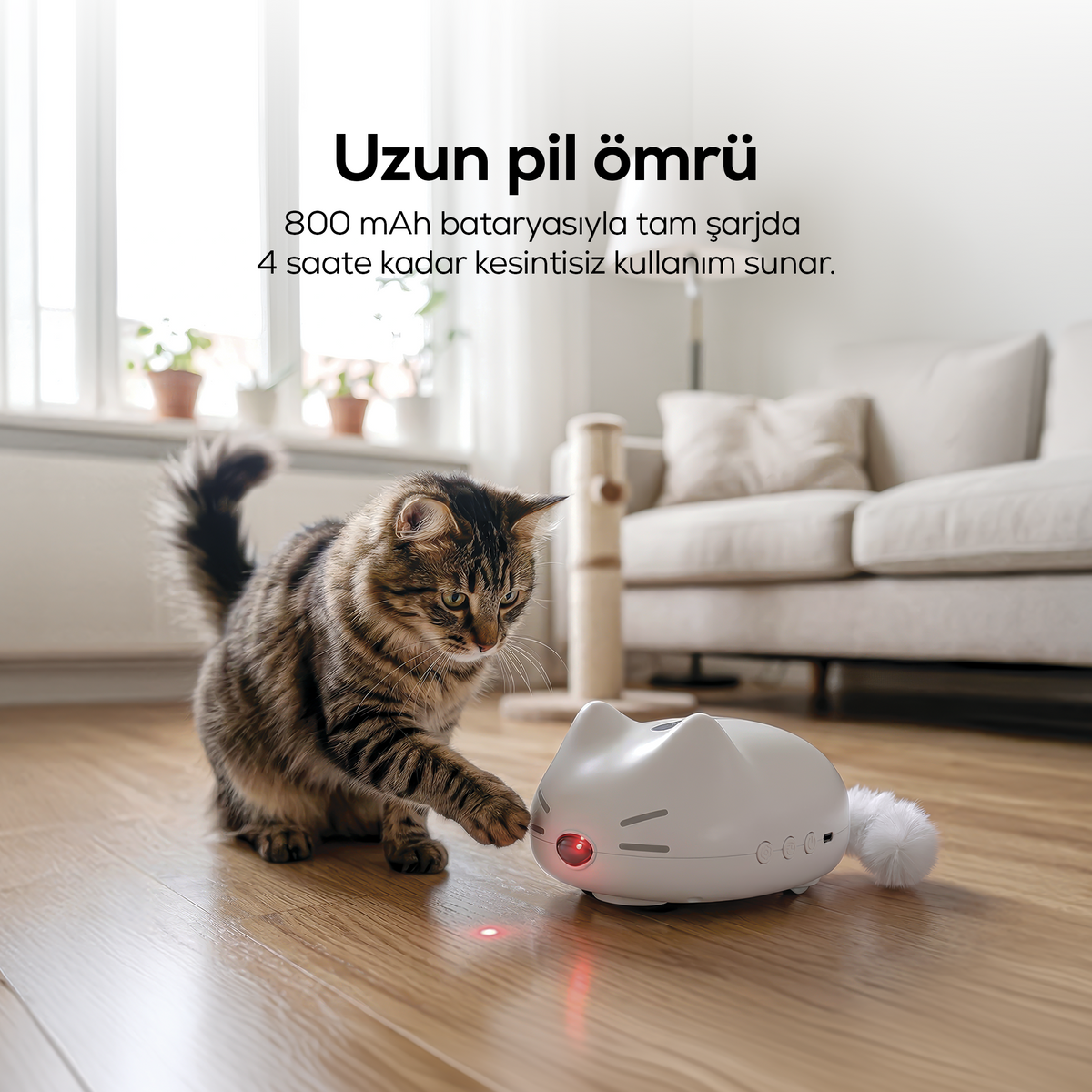 İnteraktif Kedi Oyuncağı | Hareketli Kuyruk, 3 Hız Modu, Şarjlı, Lazerli Kedi Oyuncağı (X8812)