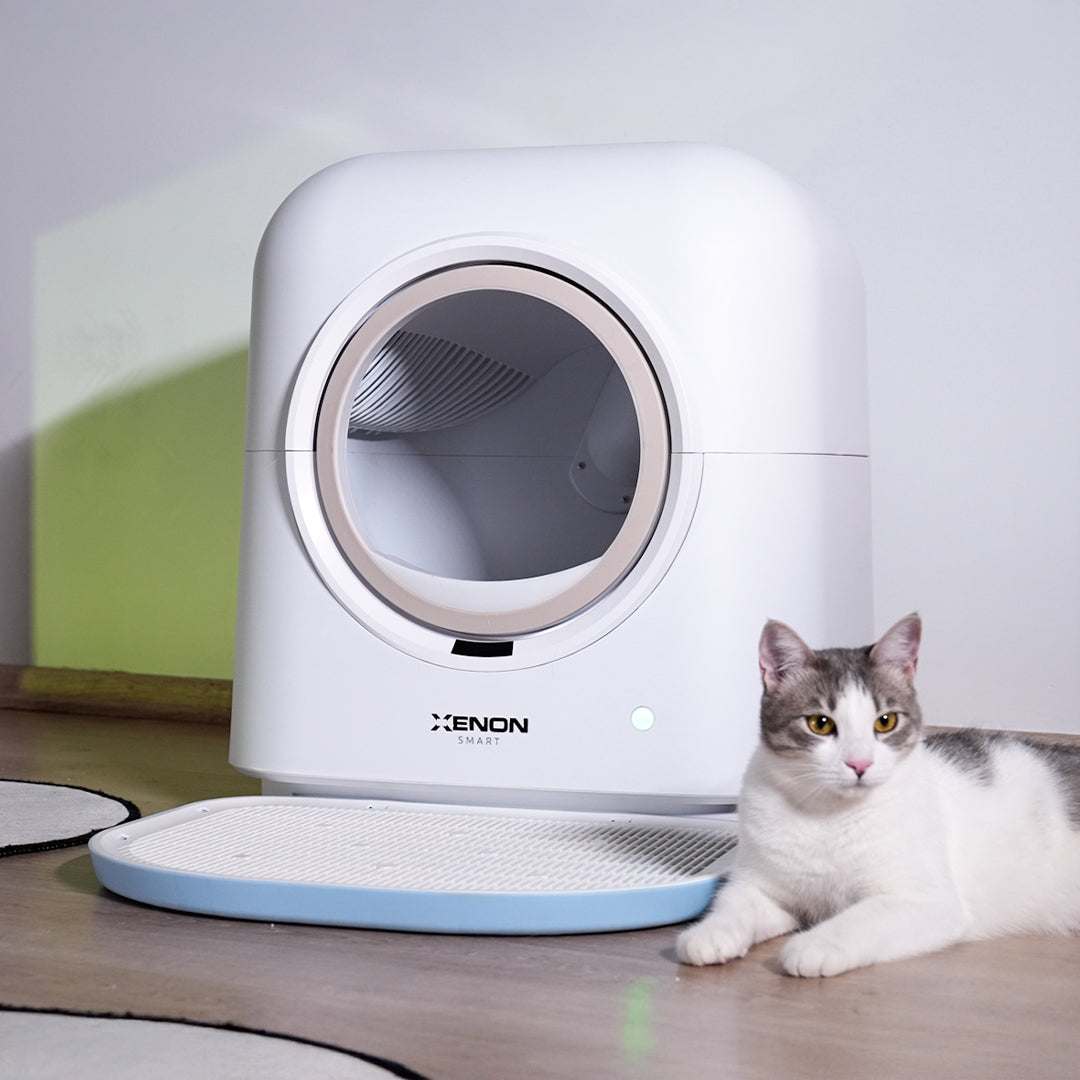Akıllı Kedi Tuvalet, Mama Kabı ve Su Pınarı