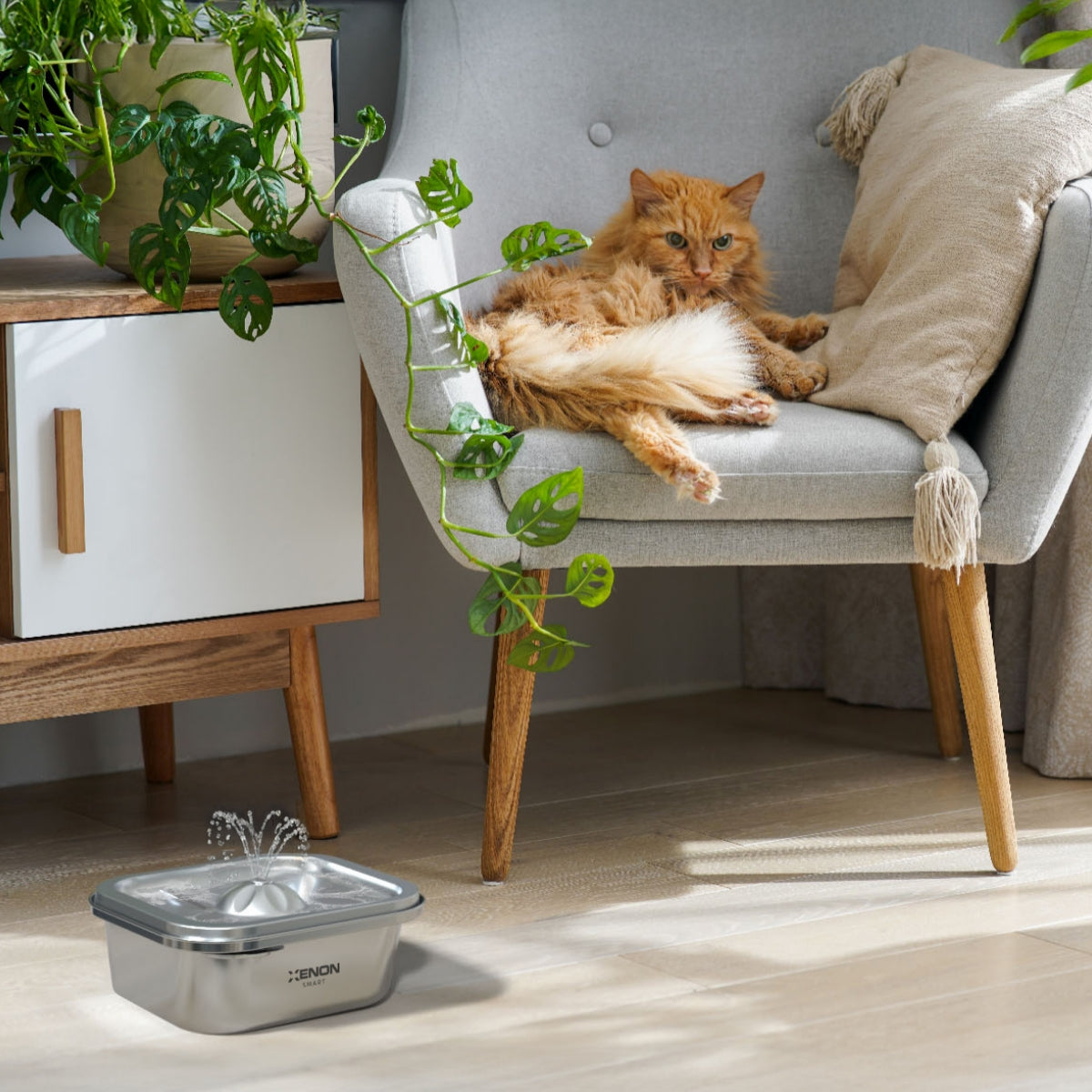 Akıllı Kedi Tuvaleti, Çift Kaseli Mama Kabı ve Çelik Su Pınarı 4'lü Pet Ürünleri Seti