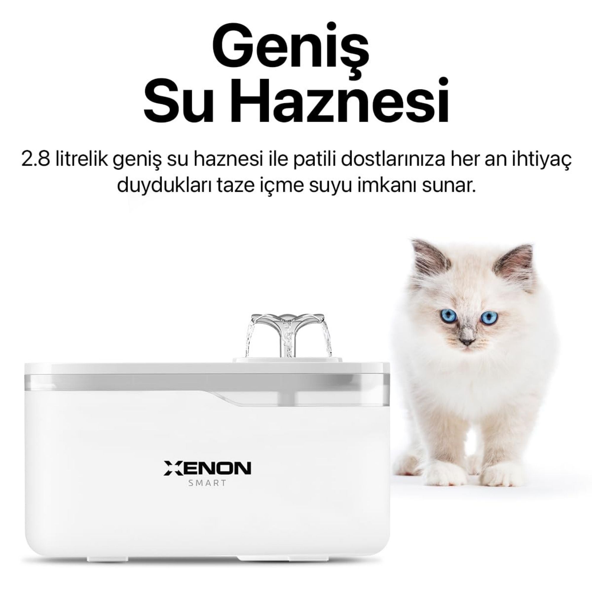 Otomatik Mama Kabı (Çift Kaseli), Kedi Su Pınarı (Şeffaf) ve Yedek Filtre | 3'lü Set, Mobil Kontrol