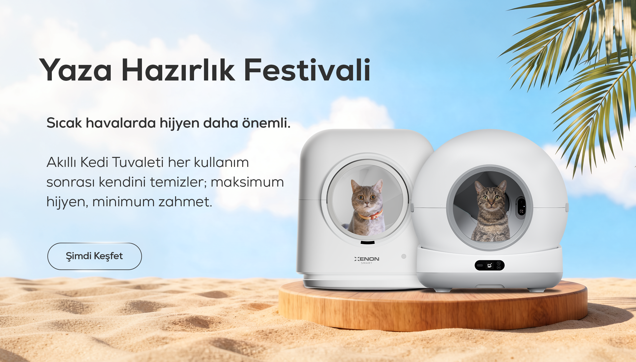 Xenon Smart