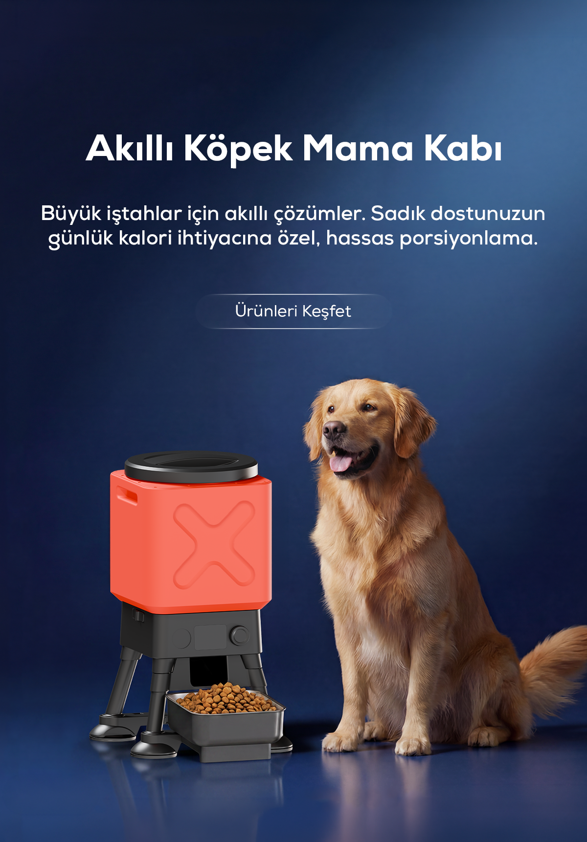 Xenon Smart