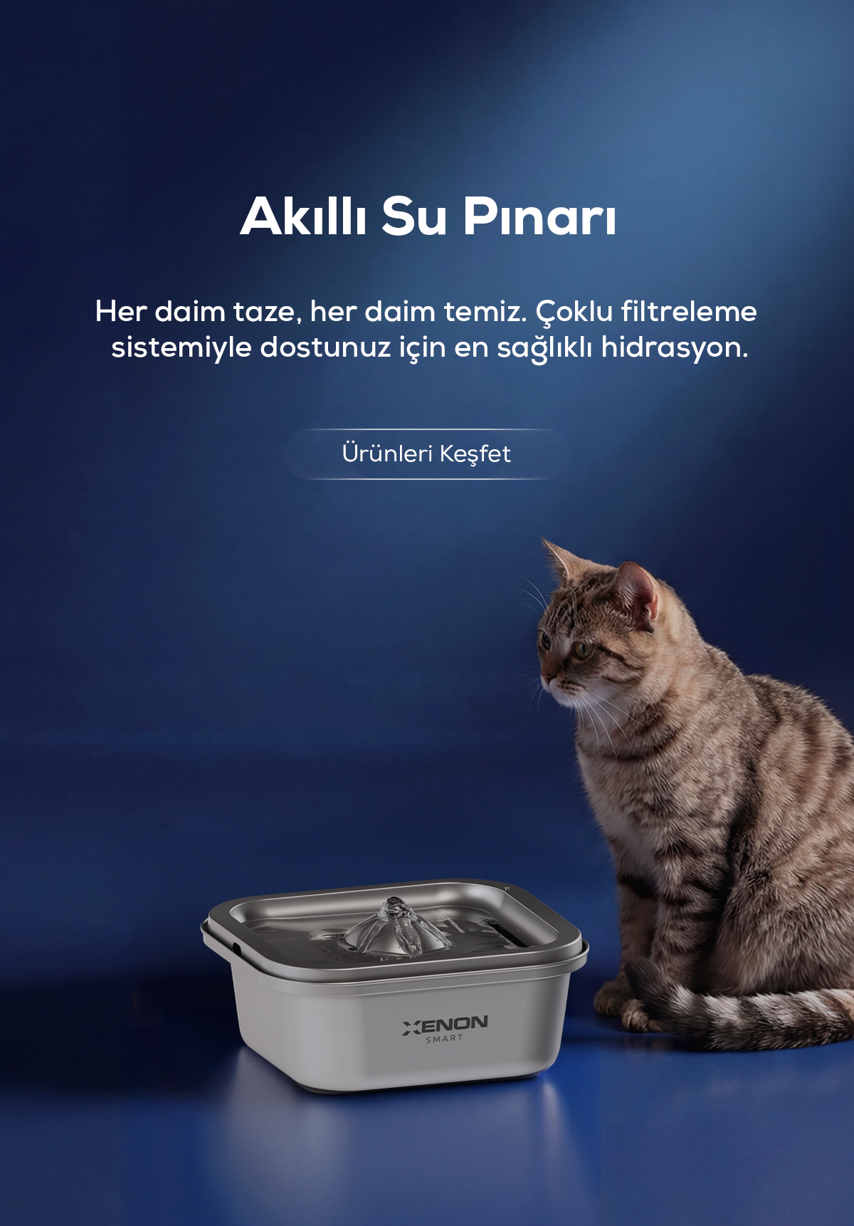Xenon Smart