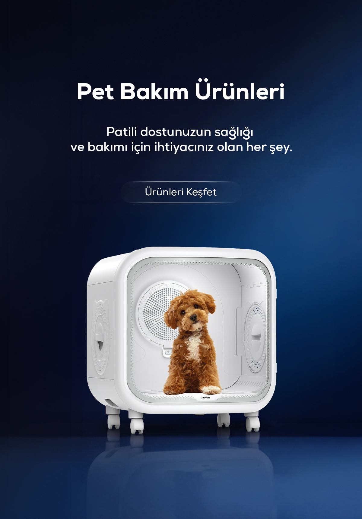 Xenon Smart