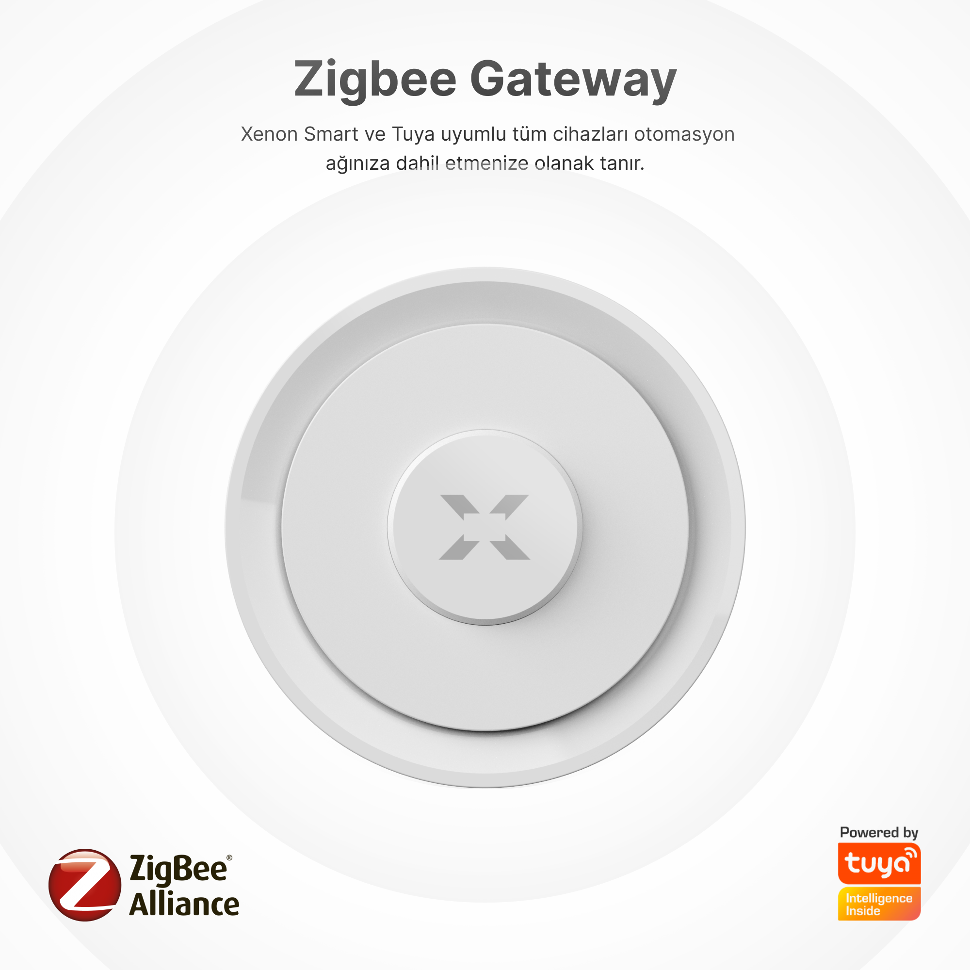 Akıllı Motorlu Kapı Kilidi, Zigbee & Wi-Fi Ağ Geçidi Seti