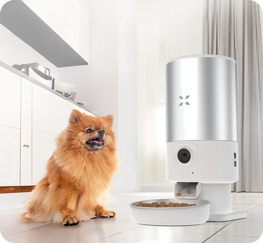 Xenon Smart