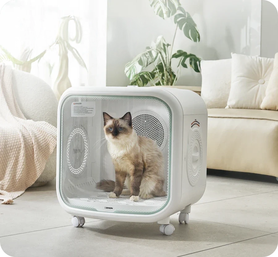 Xenon Smart