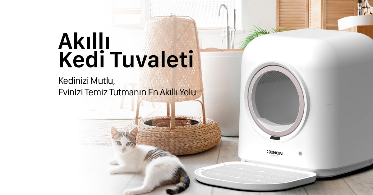 Xenon Smart