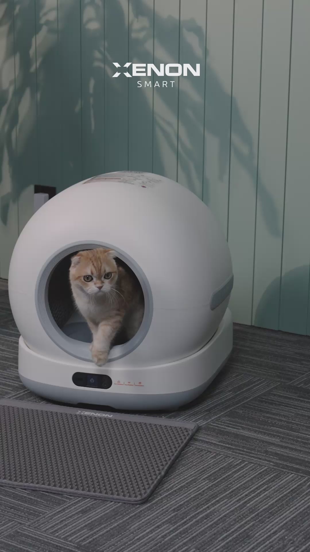 Videoyu yükle: Otomatik Kedi Tuvaleti | 72L, 7L Atık Hazneli, UV, Wifi, Mobil Kontrol, Akıllı Kedi Tuvaleti (X8624)