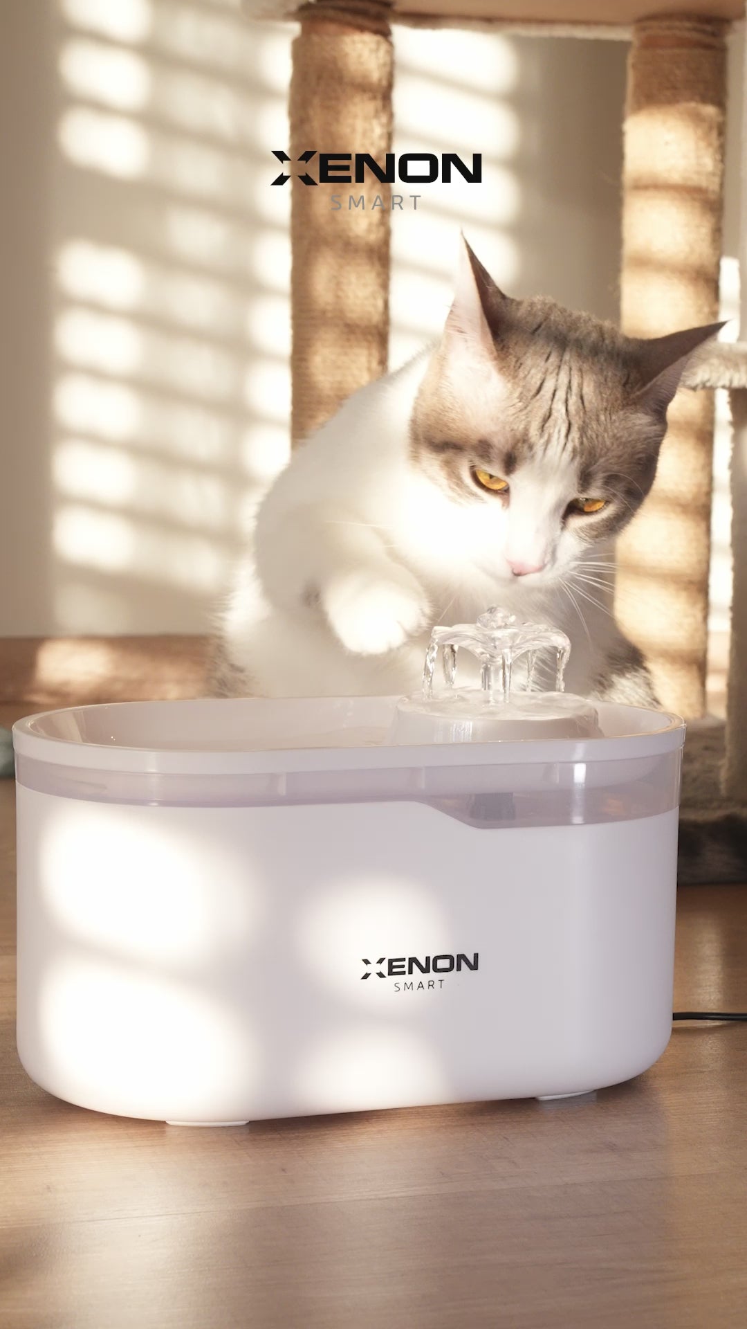 Videoyu yükle: Kedi Su Pınarı | Ultra Sessiz, Wifi, Akıllı, Otomatik, Su Çeşmesi (Beyaz - X8650)