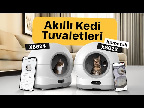 Videoyu yükle: 