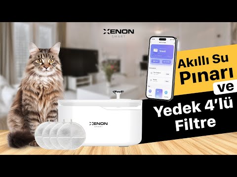Videoyu yükle: 