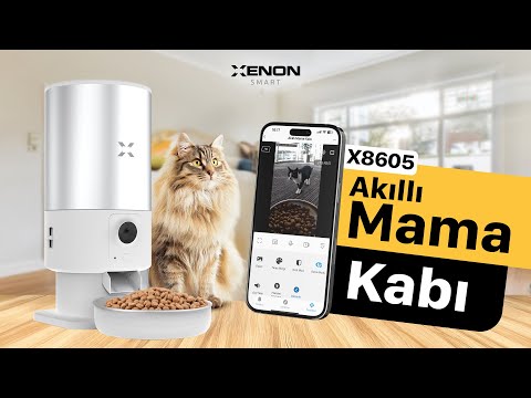 Videoyu yükle: 