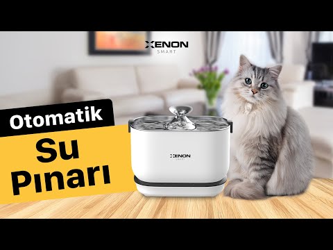 Videoyu yükle: 