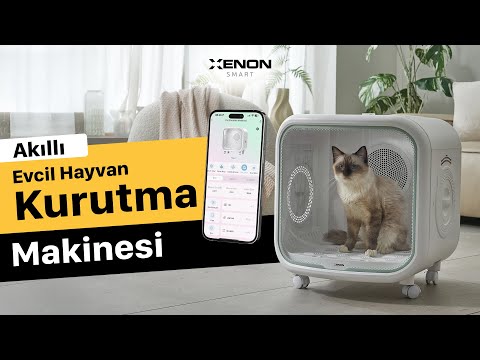 Videoyu yükle: 
