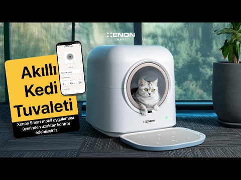 Videoyu yükle: 