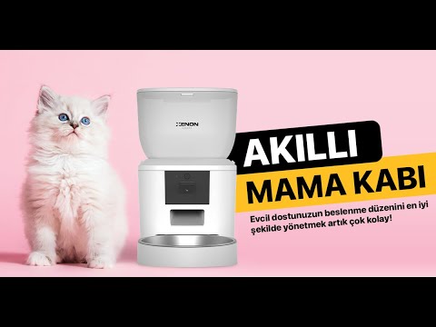 Videoyu yükle: 