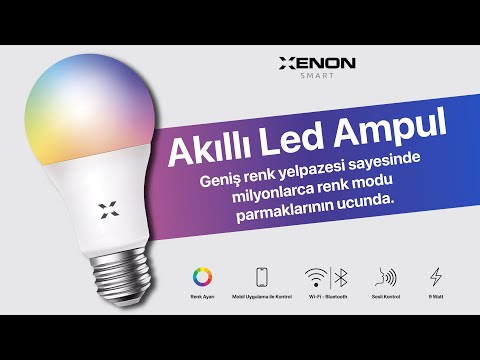 Videoyu yükle: 