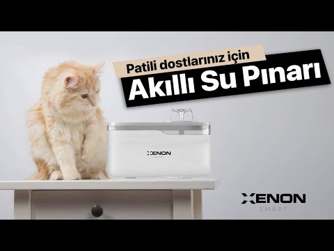 Videoyu yükle: 