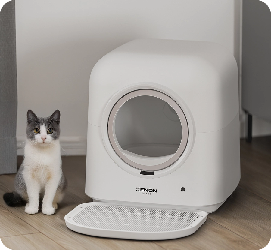 Xenon Smart