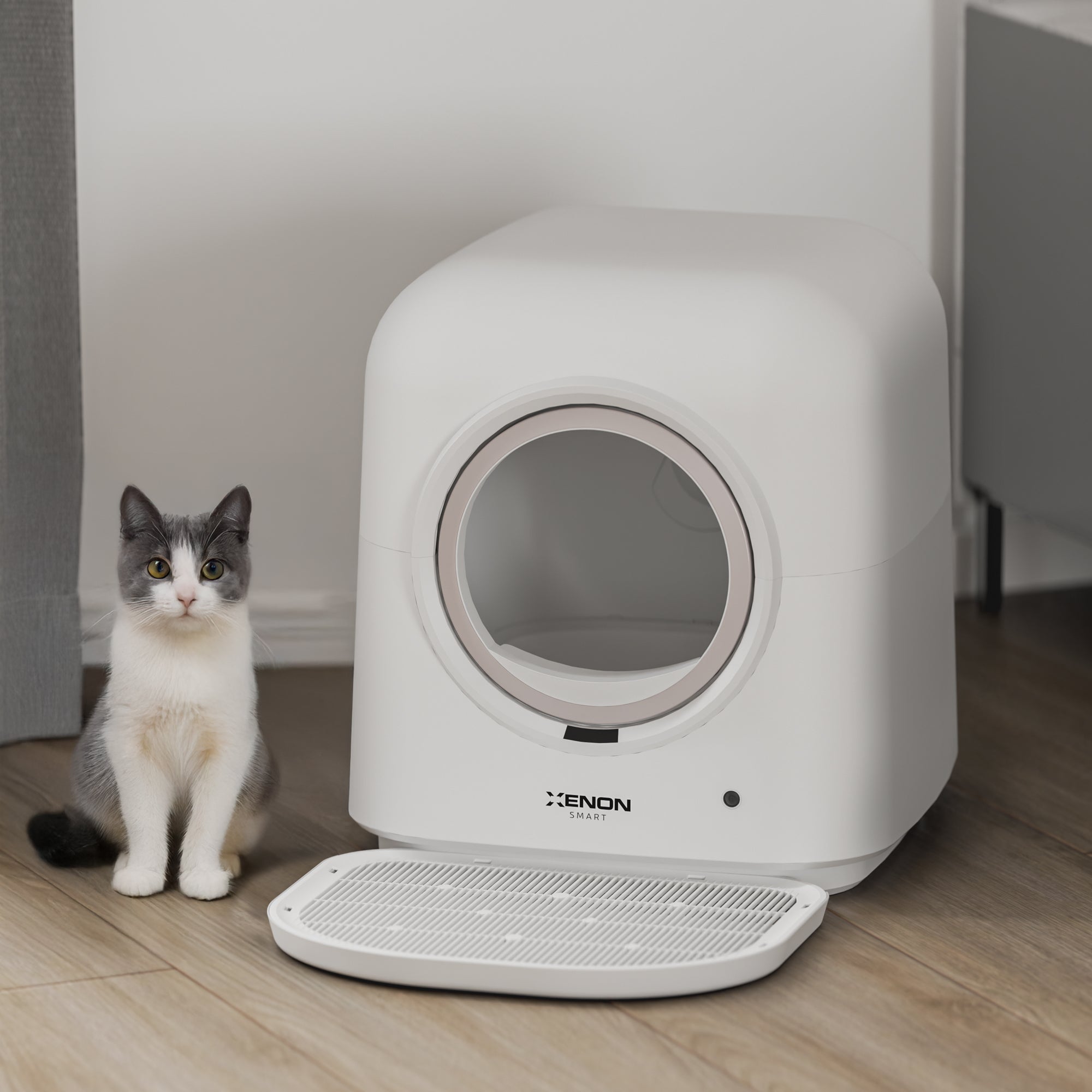 Xenon Smart