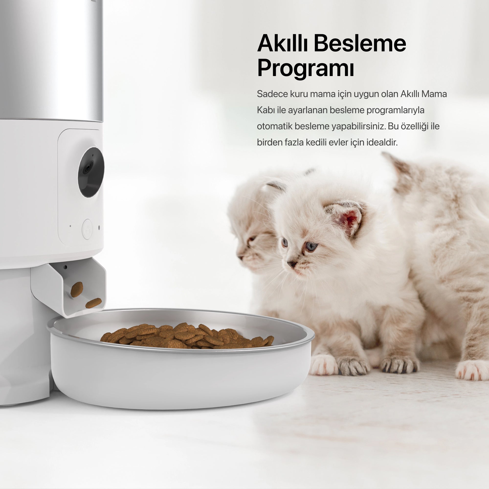 Akıllı Çelik Mama Kabı, Akıllı Su Pınarı ve Yedek Filtre 3'lü Pet Seti
