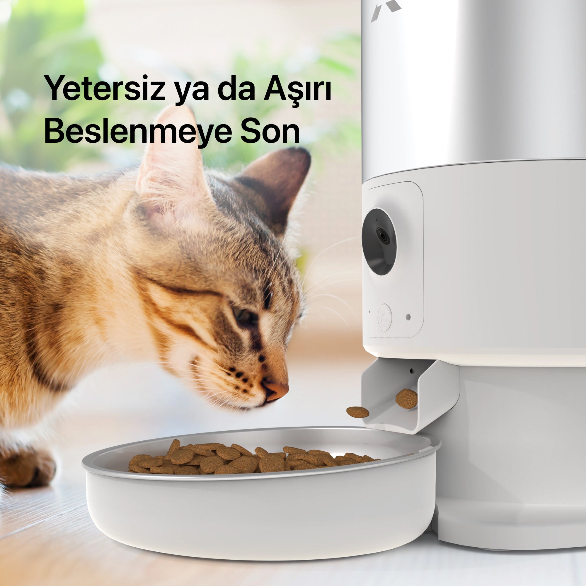 Akıllı Çelik Mama Kabı, Akıllı Su Pınarı ve Yedek Filtre 3'lü Pet Seti
